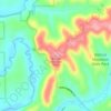 Wildcat Mountain topographic map, elevation, terrain