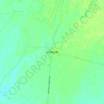 Baliadangi topographic map, elevation, terrain