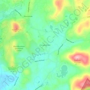 Furnace Woods topographic map, elevation, terrain