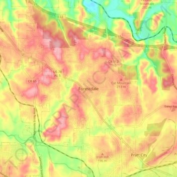Forestdale topographic map, elevation, terrain