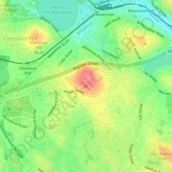 Single Tree Hill topographic map, elevation, terrain
