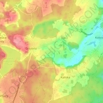 Grzybno Dolne topographic map, elevation, terrain