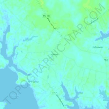 Avenue topographic map, elevation, terrain