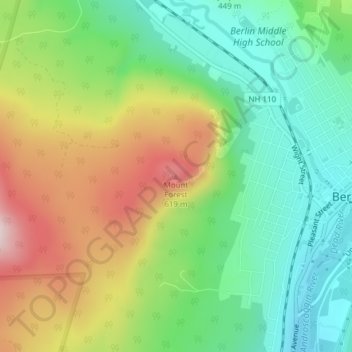 Mount Forest topographic map elevation - Thumbnail 