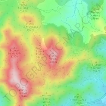 Bruncu Nieddu topographic map, elevation, terrain