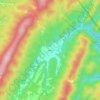 Pedro topographic map, elevation, terrain