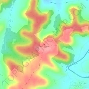 Cerro Bandera topographic map, elevation, terrain