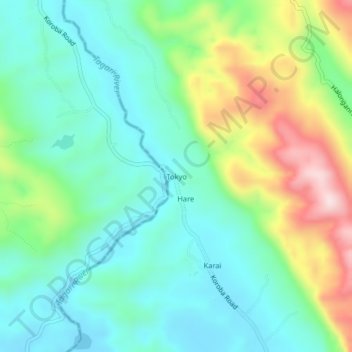 Tokyo topographic map, elevation, terrain