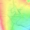 Forest topographic map, elevation, terrain