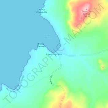 Caleta Pajonales topographic map, elevation, terrain
