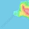 Browns Point topographic map, elevation, terrain