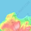 New Quay topographic map, elevation, terrain