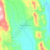 Damián Carmona topographic map, elevation, terrain