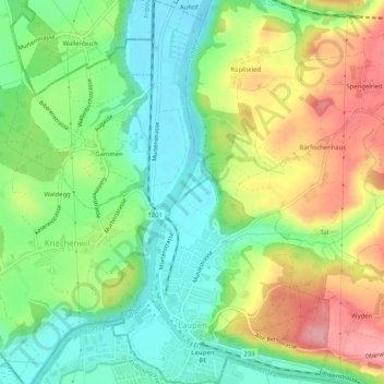 Laupen topographic map, elevation, terrain