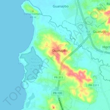 Guanajibo topographic map, elevation, terrain