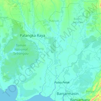 Pulang Pisau topographic map, elevation, terrain