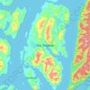Isla Traiguén topographic map, elevation, terrain