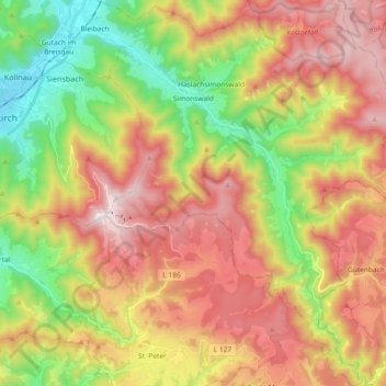 Simonswald topographic map, elevation, terrain