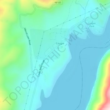 Cougar topographic map, elevation, terrain