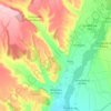Benavides topographic map, elevation, terrain