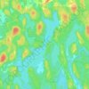 Raynards Lake topographic map, elevation, terrain