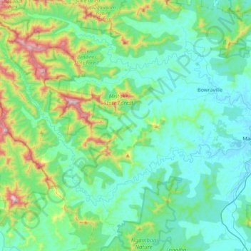Taylors Arm topographic map, elevation, terrain