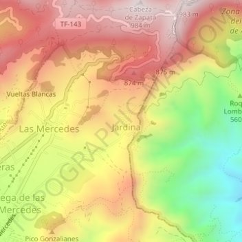 El Gamonal topographic map, elevation, terrain