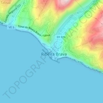 Ribeira Brava topographic map, elevation, terrain