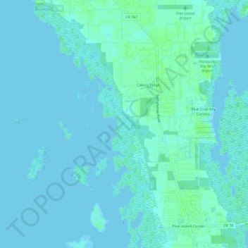 Pine Island Center topographic map, elevation, terrain