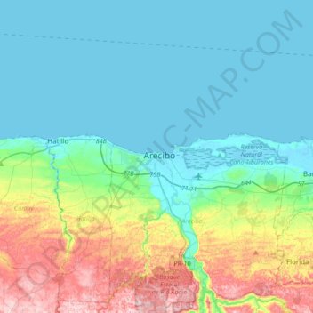 Arecibo topographic map, elevation, relief